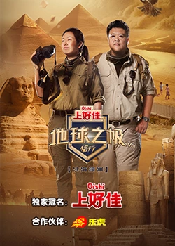 官网seo网站优化推广